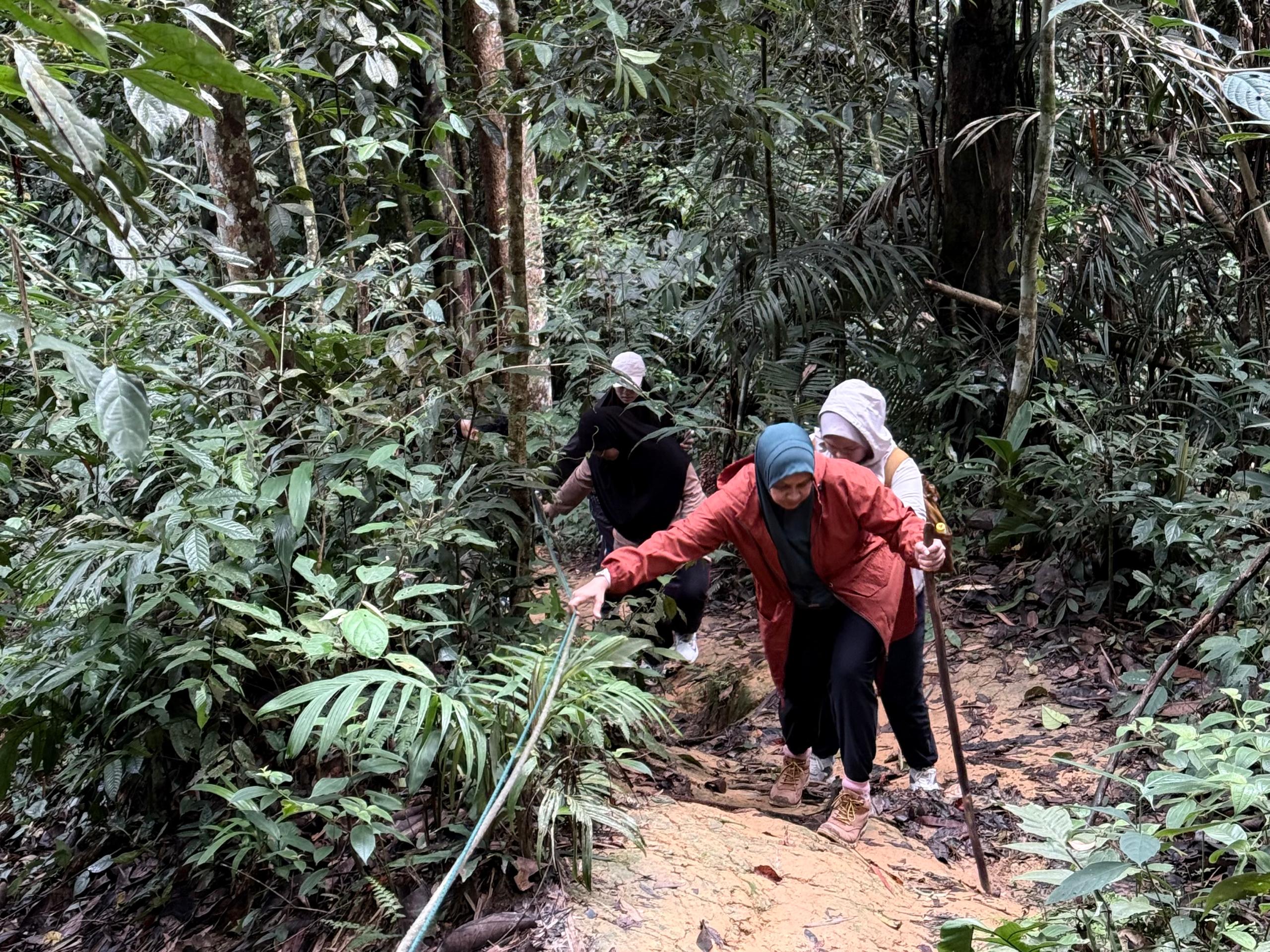 Hiking Package to 7th tier