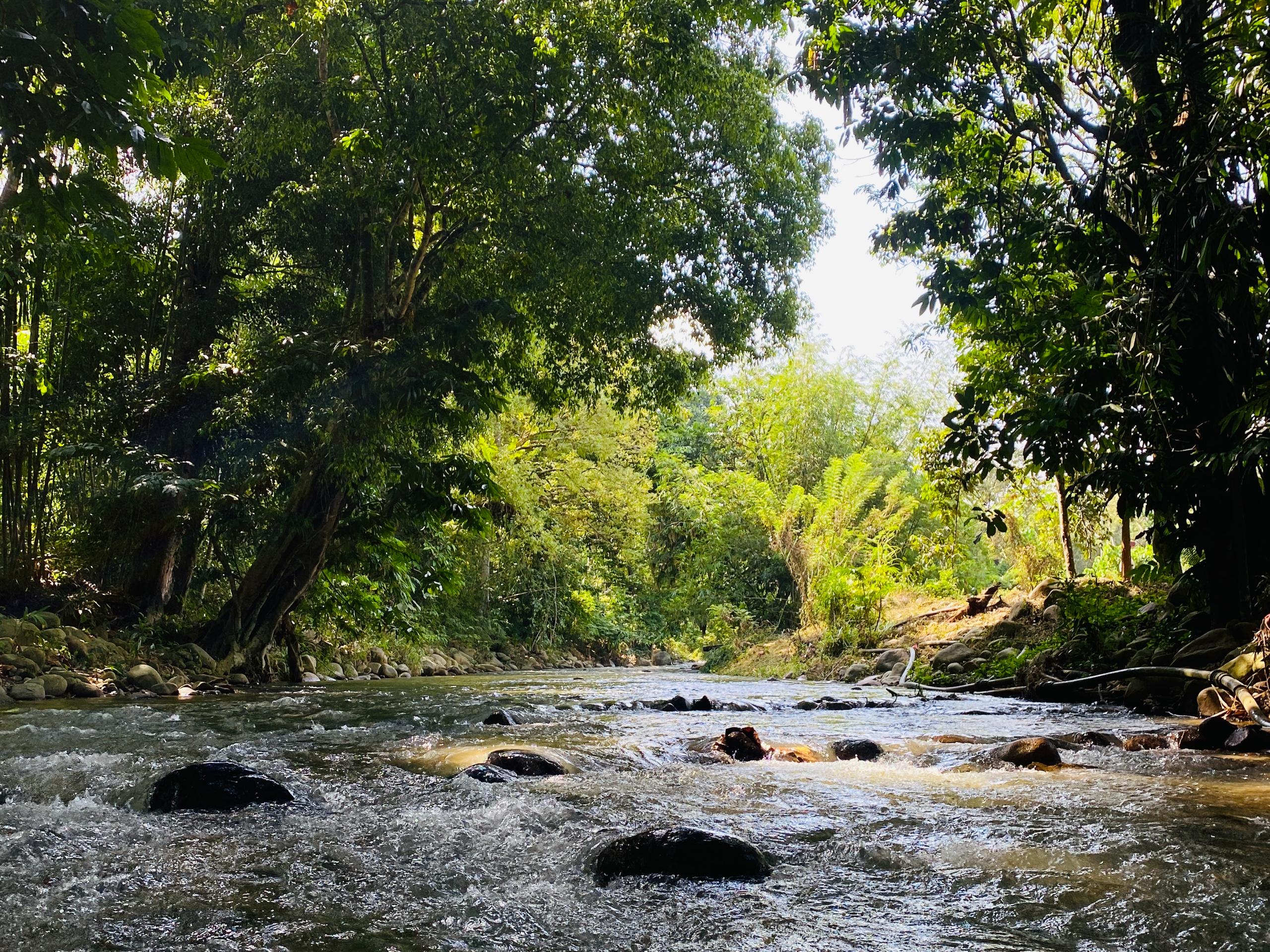 River Trekking