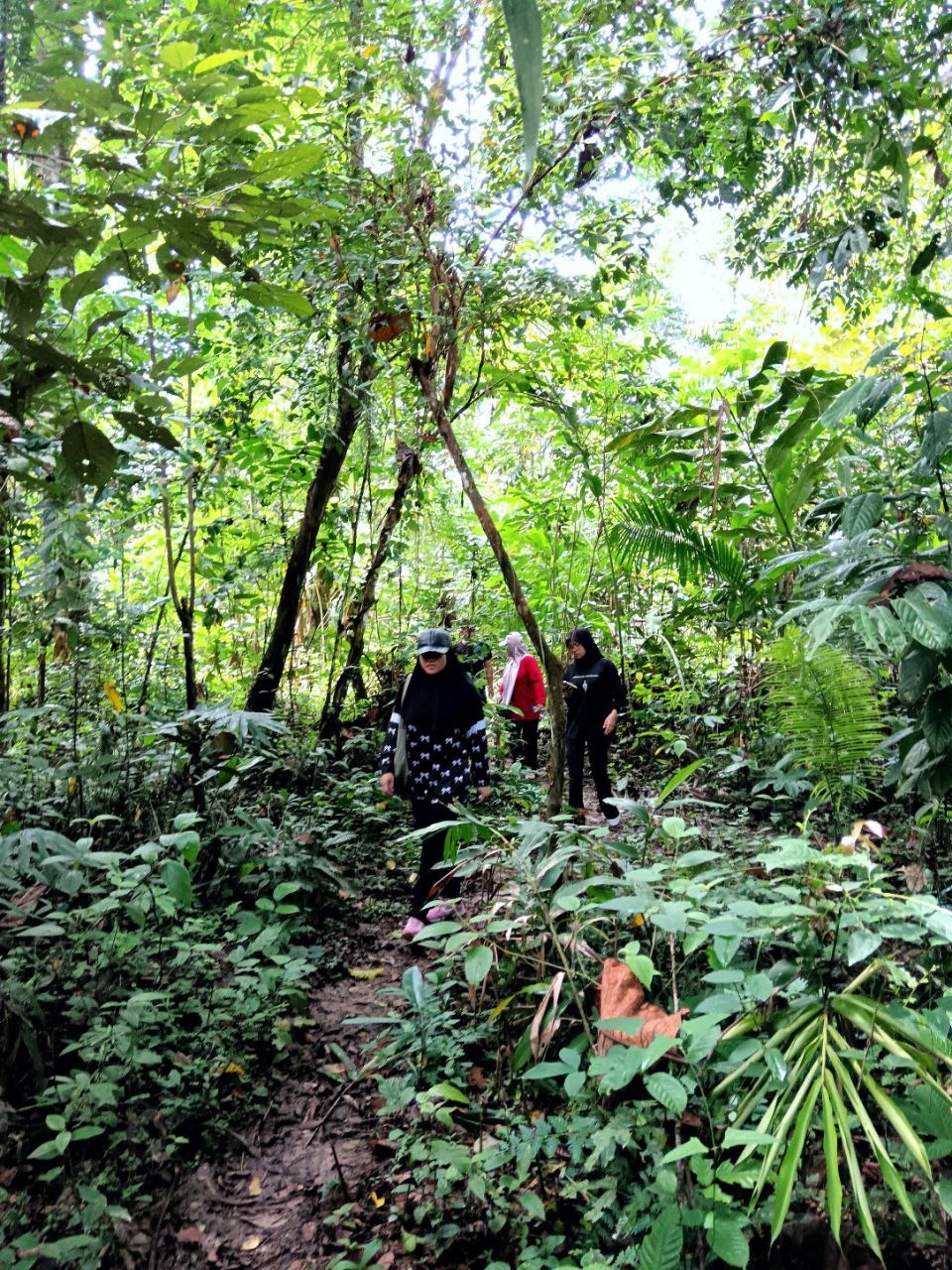 Jungle trekking