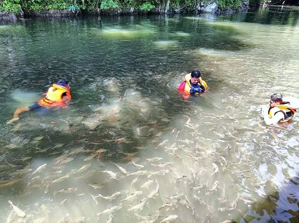 Community Fish Sanctuary