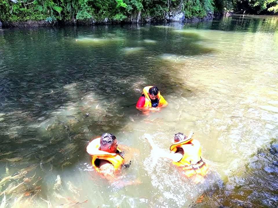 Kuala Sat Rainforest Exploration (3D2N)