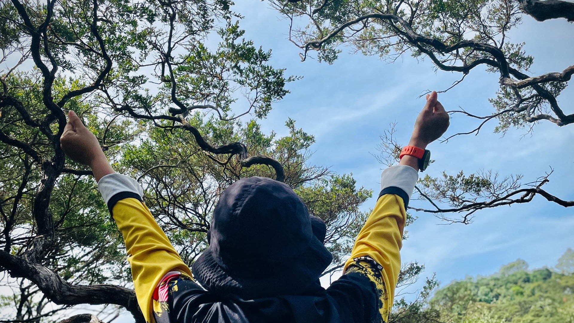 Day Trip Jom explore Gunung Tebu (Hiking)
